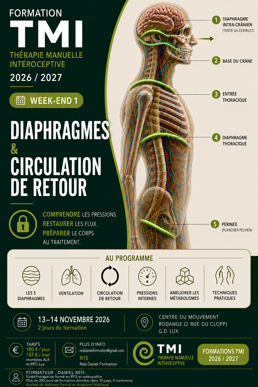 diaphragmation&circulationderetour