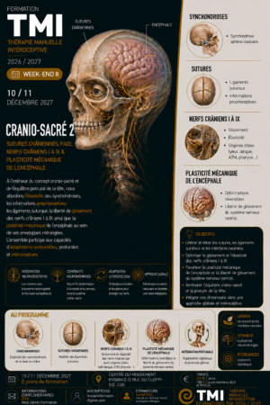 Cranio-sacré 2, les 10 et 11 décembre 2027
