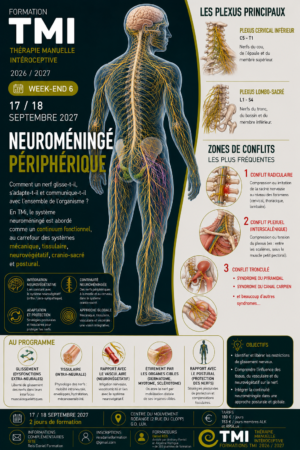Neuroméningé périphérique, les 17 et 18 septembre 2027